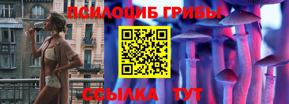 Губкинский  цена наркотик  Вход с VPN  Псилоцибиновые грибы мухоморы 